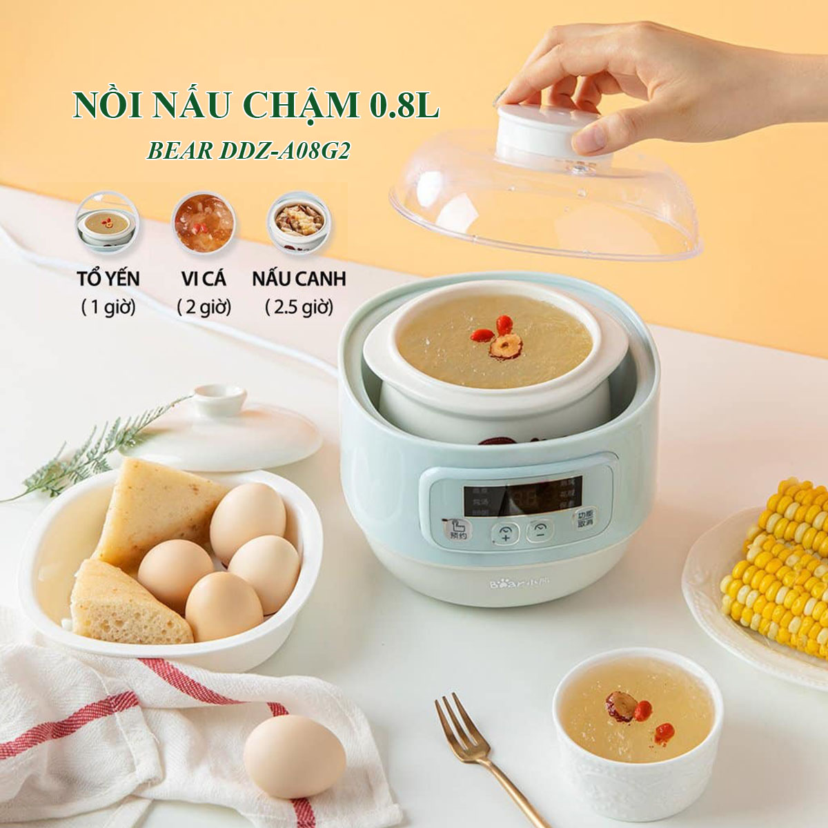 Nồi nấu chậm đa năng Bear DDZ-A08G2