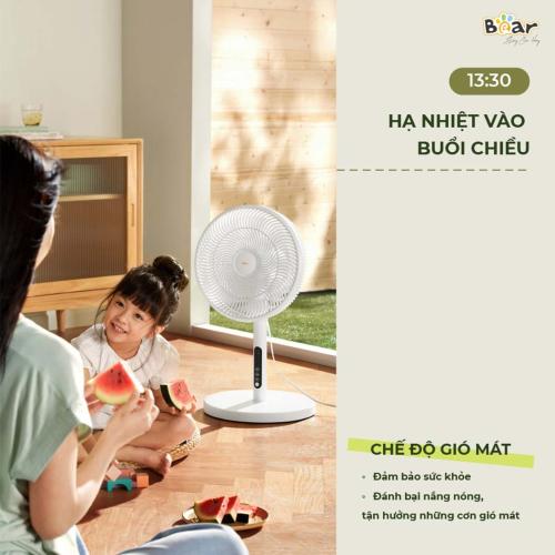 Quạt cây điều khiển từ xa Bear DFS-D47F2