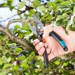 Kéo cắt cành mũi hếch 24mm Gardena 08905-20