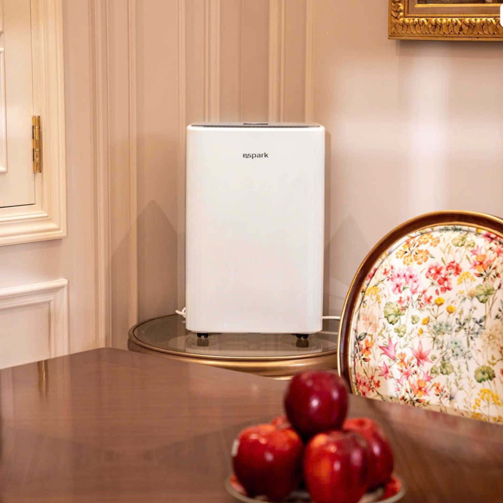 Máy hút ẩm kèm lọc không khí 25 lít Espark ESP – A25A433F