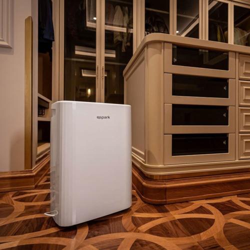 Máy hút ẩm kèm lọc không khí 25 lít Espark ESP – A25A433F