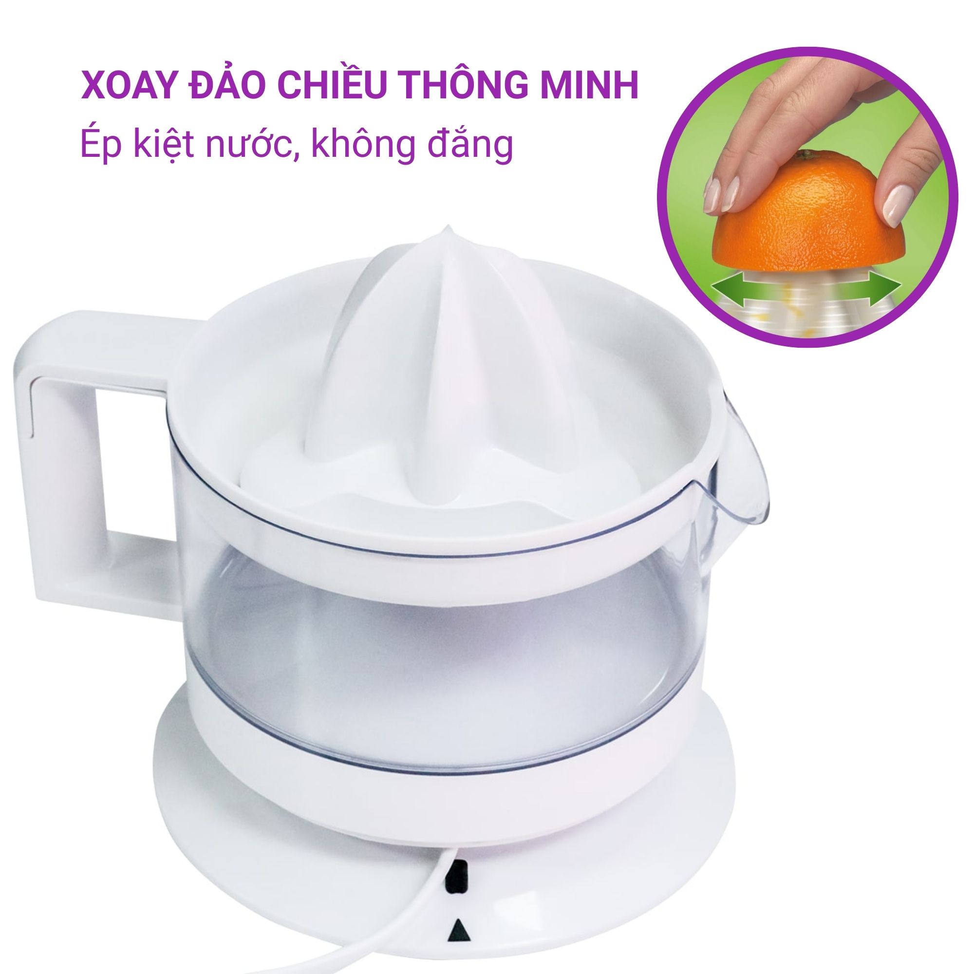 Máy vắt cam BRAUN CJ3000 20W