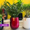Chậu composite cao cấp Ruby 1133 Lux 56