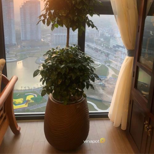 Chậu tự tưới composite Ruby Wavy