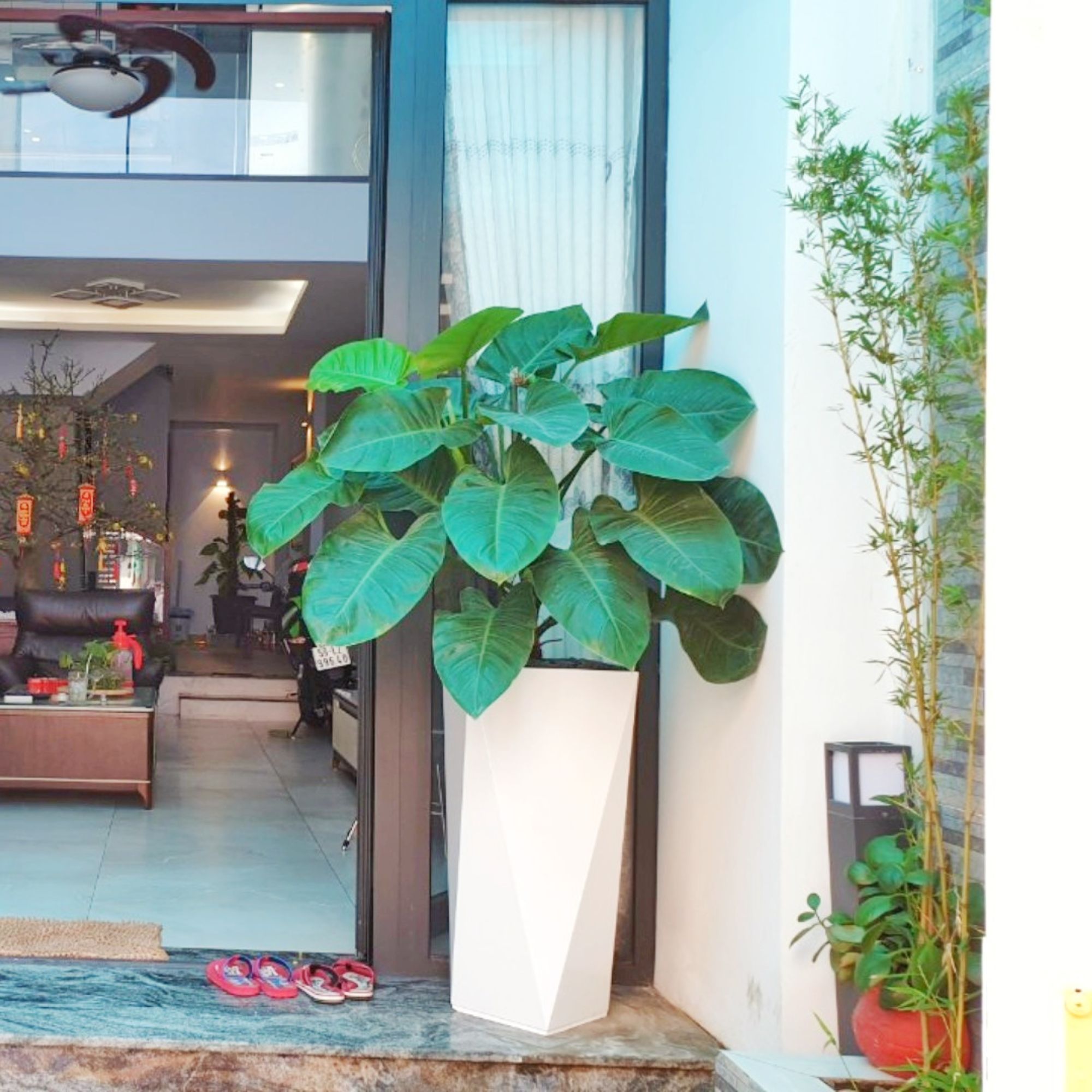 Chậu composite tự dưỡng Diamond 1401 Lux 72