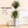 Chậu tự tưới composite Luxnature Feliz 1822 60