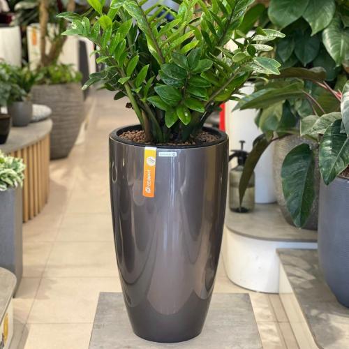 Chậu tự tưới composite Luxnature Feliz 1822 60