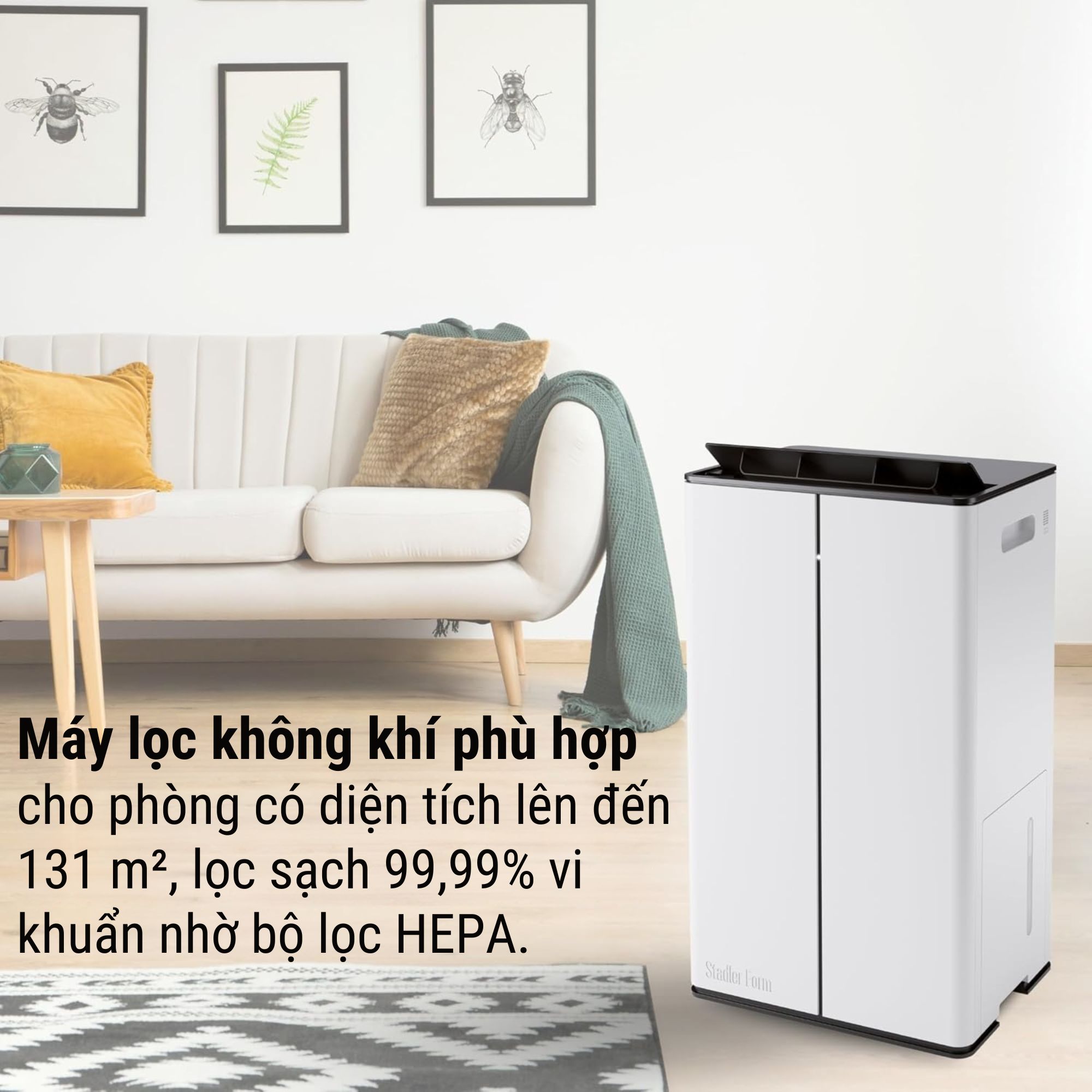 Máy Hút Ẩm Lọc Không Khí Đa Năng Stadler Form Lukas Pro 50L – Tiện Nghi Cho Mọi Gia Đình