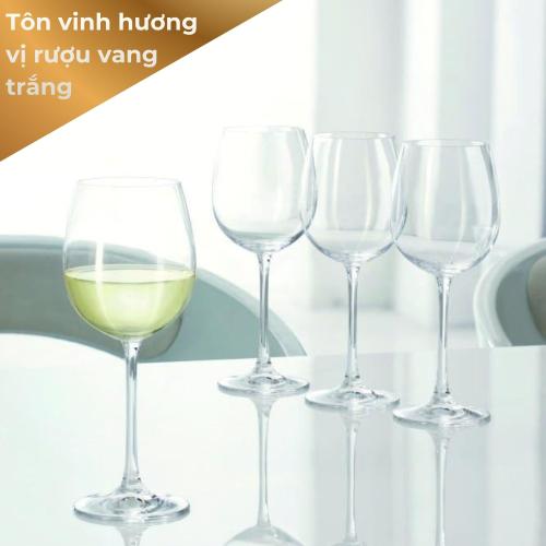 BỘ 4 LY RƯỢU VANG TRẮNG NACHTMANN VIVENDI 85692 474ML