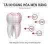 Kem đánh răng AJONA LOẠI BỎ CAO VÀ CHỐNG VIÊM