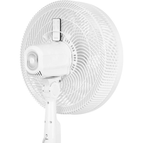 Quạt Đứng Tefal VH689690 - Giải Pháp Làm Mát Toàn Diện Cho Không Gian Hiện Đại