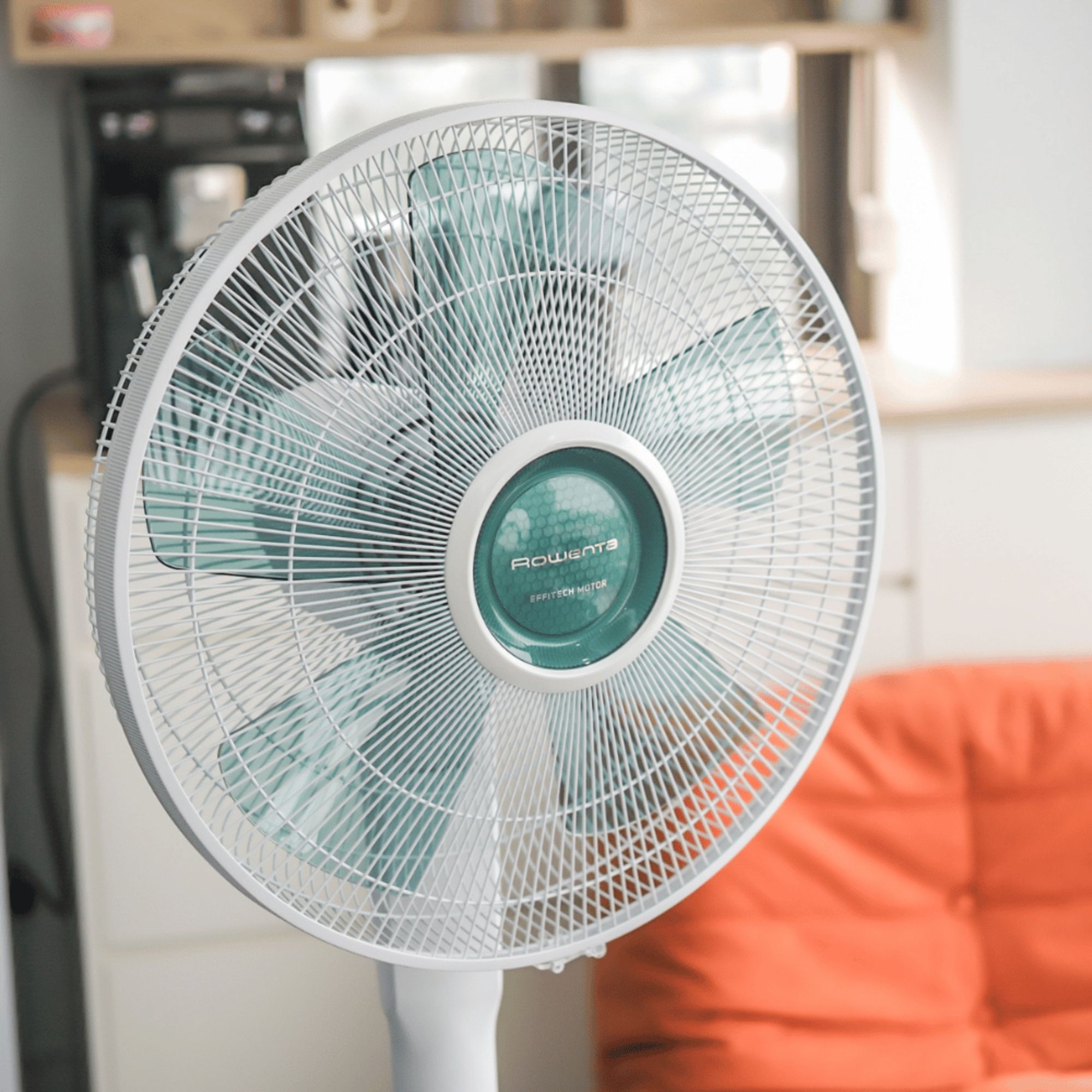 Quạt Cây Rowenta VU5890 Model Mới 2025 - Giải Pháp Làm Mát Đỉnh Cao Từ Đức
