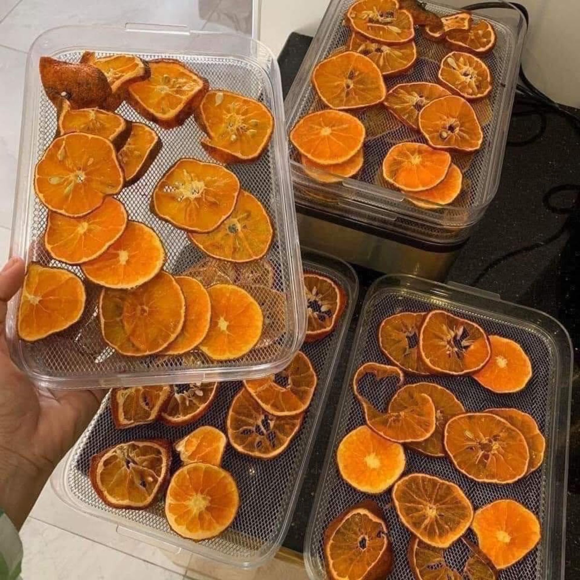 Máy Sấy Hoa Quả CASO DH 450 - Đa Năng Chuẩn Đức