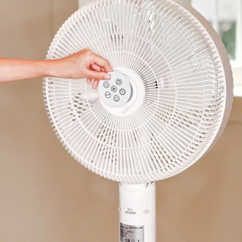 Quạt Cây Phun Sương De Muller QM71 - Nâng Tầm Không Gian Sống Chuẩn Châu Âu