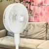 Quạt Cây Phun Sương De Muller QM71 - Nâng Tầm Không Gian Sống Chuẩn Châu Âu