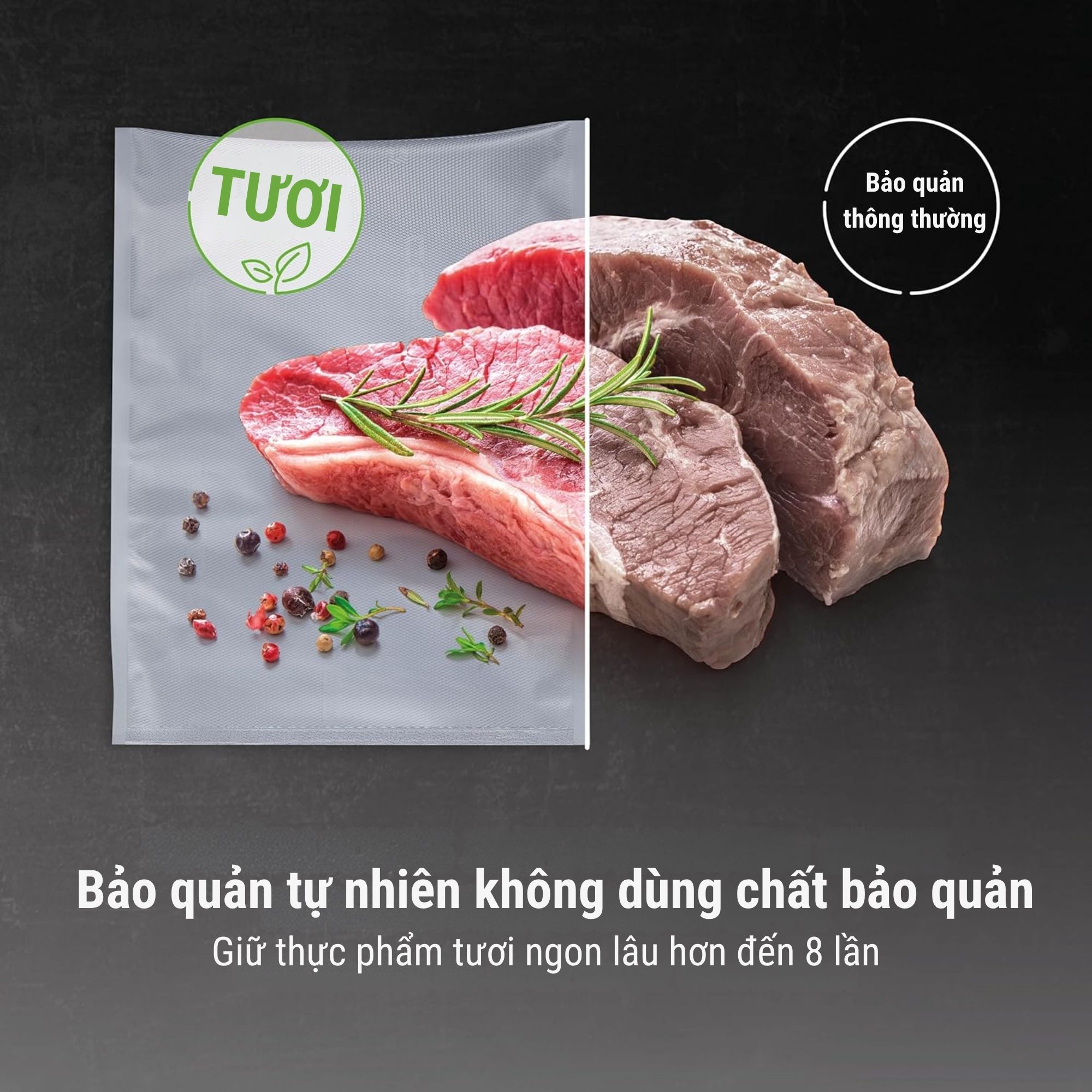 Máy Hút Chân Không CASO VC10 Model 2025 - Giải Pháp Bảo Quản Thực Phẩm Chuẩn Đức