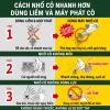 Máy Nhổ Cỏ Rung Sạc Điện Musashi WE-760 - Chuẩn Mực Kỹ Thuật Nông Nghiệp Nhật Bản