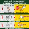 Máy Rung Nhổ Cỏ Musashi WE-770 - Kiến Tạo Không Gian Xanh Hoàn Mỹ Cho Tổ Ấm